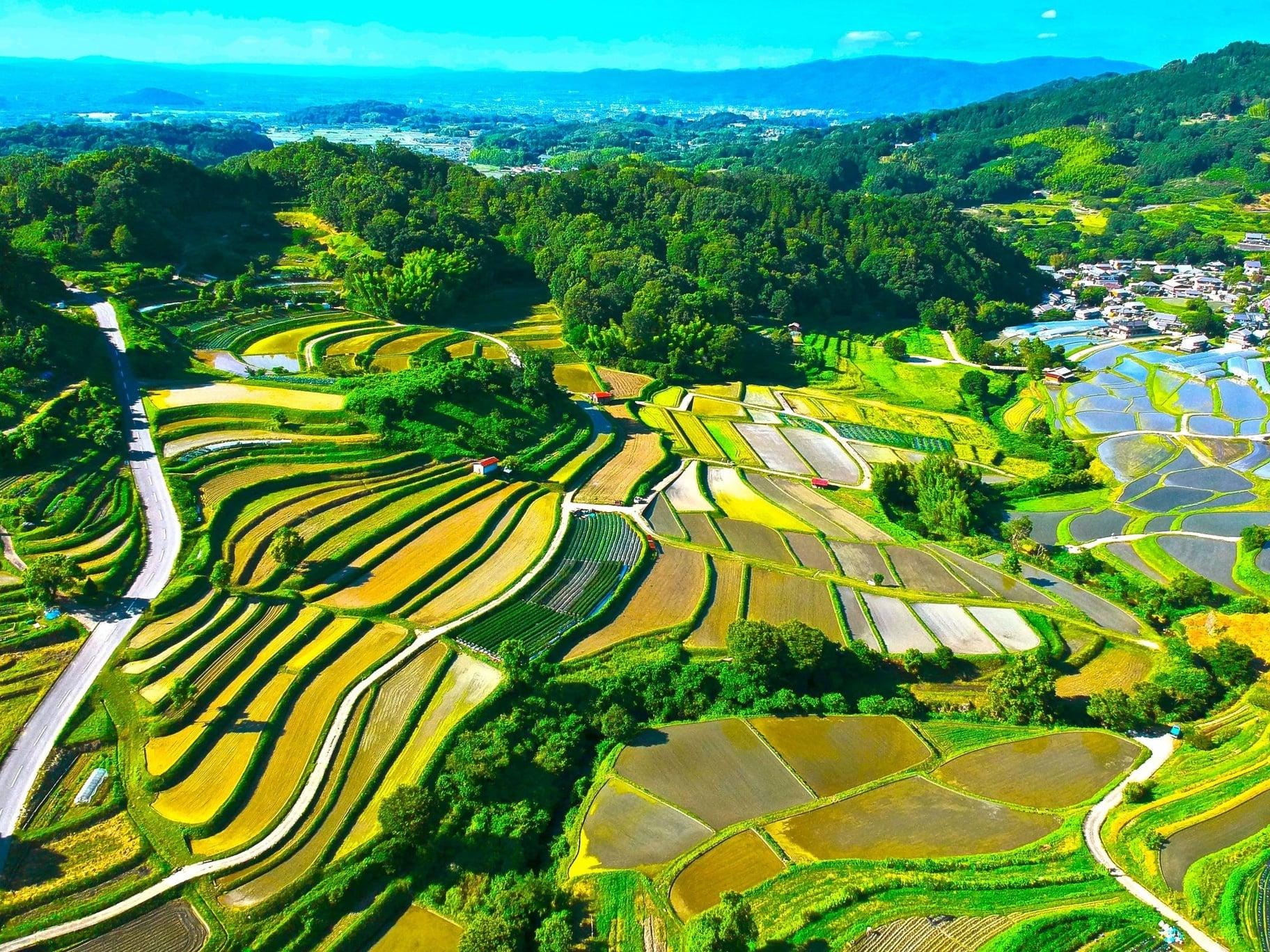 明日香村