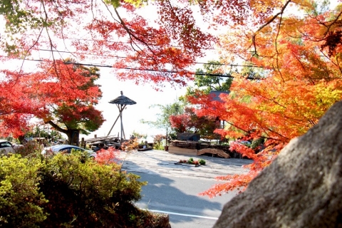 琵琶湖岸の紅葉