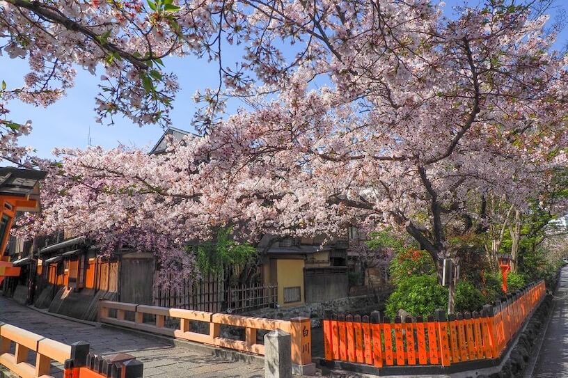 祇園白川